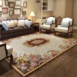 Carpet in the living room photo oval inexpensive