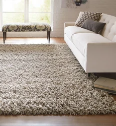 Carpet on the floor in the apartment interior