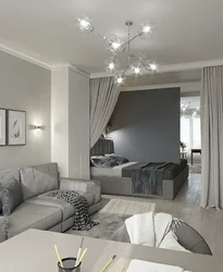 Bedroom living room design in gray tones