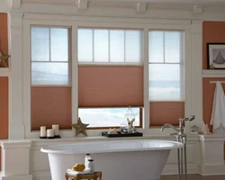 Bathroom blinds design