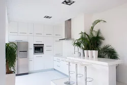 How to dilute the interior of a white kitchen