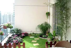 Сад на балконе в квартире фото