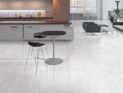 Porcelain tiles in the kitchen 60 by 60 photo