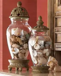 Shells in the kitchen interior