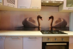 Kitchen swans photo