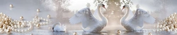 Kitchen swans photo