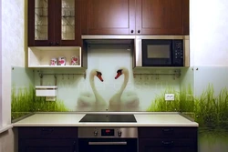Кухни лебеди фото