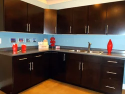 Kitchens with dark brown countertops photo