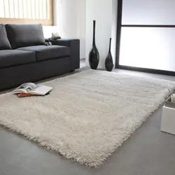 White carpets in the living room photo