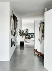 Gray floors in the hallway photo
