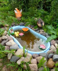 Pond baths photo