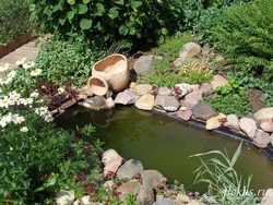 Pond baths photo