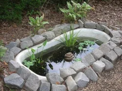 Pond Baths Photo