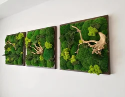 Moss panel in the living room interior