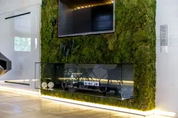 Moss Panel In The Living Room Interior