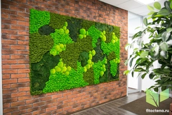 Moss panel in the living room interior