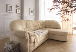 Sofa With Ottoman In The Living Room Photo