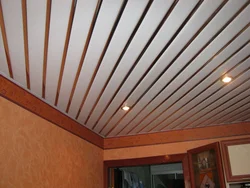 Ceilings in the living room from panels photo