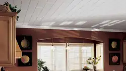 Потолки в гостиной из панелей фото