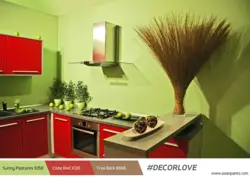 Дизайн покраски кухни в двух цветах
