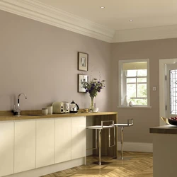 Kitchen painting design in two colors