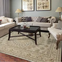 Classic carpets in a modern living room interior