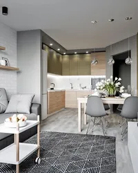 Studio Apartment Photo In Modern Style With Kitchen
