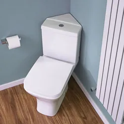 Corner Toilet In The Bathroom Photo
