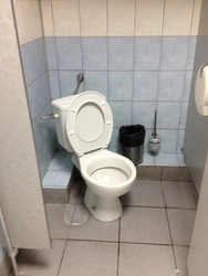 Corner toilet in the bathroom photo