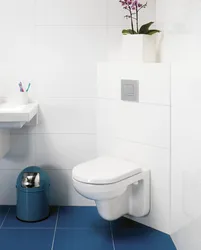 Corner toilet in the bathroom photo