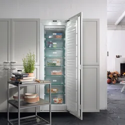 Встраиваемые холодильники в прихожей фото