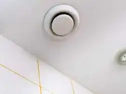 Ceiling ventilation in the bathroom photo