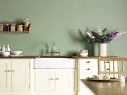 Painted kitchen photo