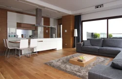 Design kitchen living room 25 sq m with access to the terrace