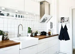 Kitchen design with white sink
