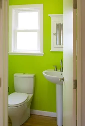 Paint A Toilet In An Apartment With Your Own Hands Photo Ideas