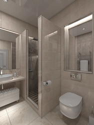 Design of a combined bathroom with shower partition