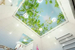 Bath ceiling 3D photo