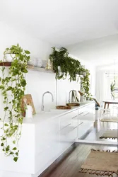 Flowers in the kitchen design photo