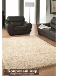 Inexpensive carpet for the floor in the living room photo