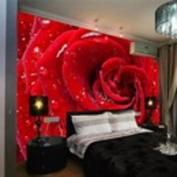 Bedroom interior in red