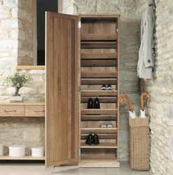 Shoe rack design for the hallway in a modern style