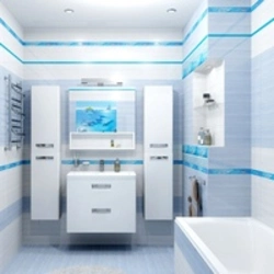 Photo Of Bathroom Design White And Blue