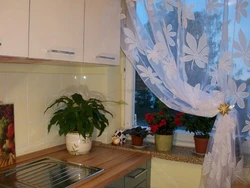 Тюль для кухни фото цветы
