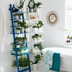 Plants in the bathroom photo
