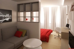 Zoning Of A One-Room Apartment Into A Bedroom And Living Room, Real Photos