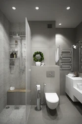 Bathroom With Toilet Design 6 Sq M In Modern Style