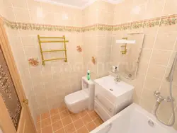 Combined Bath And Toilet In A Panel House Photo