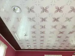 What Kind Of Panels For The Kitchen On The Ceiling Photo