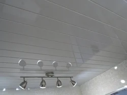 What kind of panels for the kitchen on the ceiling photo